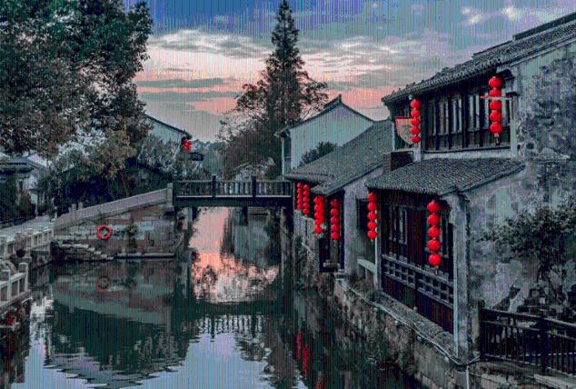 动物帮帮忙保卫家园